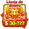Efectivo de las Joyas del Comodín